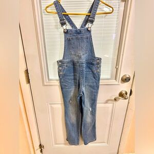 Cat & Jack Blue Denim Straight Overalls
